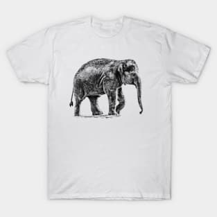 Baby elephant T-Shirt